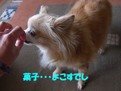 菓子くれ