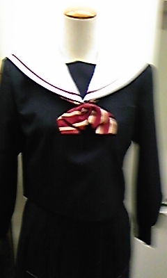 進研ゼミ中学講座 中学生日記 セーラー服 名古屋襟 女子中学生