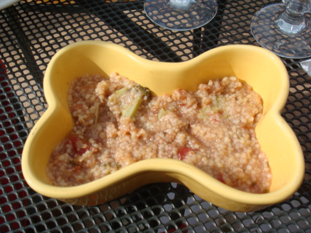 クスクスとラム肉のトマトソースだワン