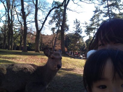 奈良公園