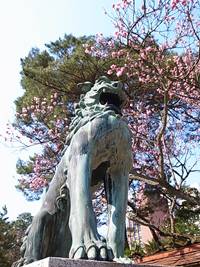 110414_2.JPG