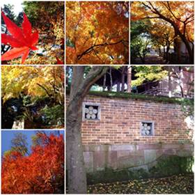 091127尾山神社2.JPG