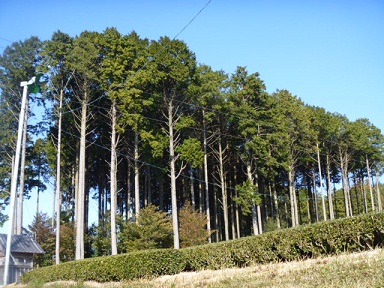 P1010158.JPG