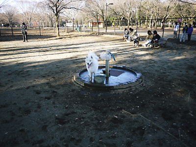 P1000292i.JPG