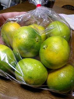 早生みかん
