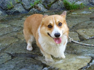 僕ビビッてましゅ。