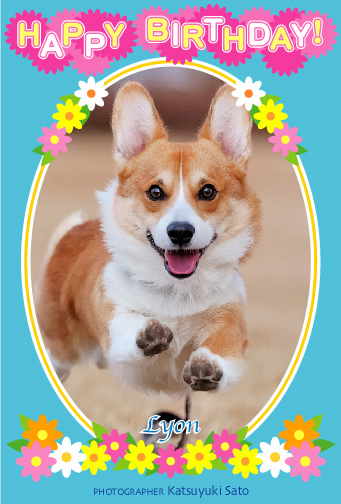 ２歳のお誕生日♪