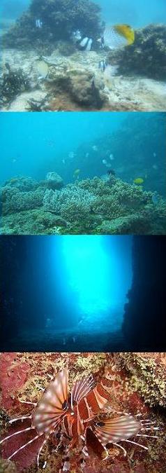 海中2