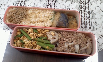 豚そぼろ柚子胡椒風味弁当