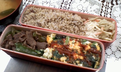 肉ピーマン弁当