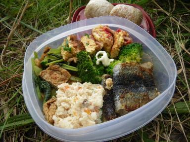 ハイキング弁当.JPG