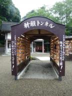 画像 029