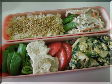 エリンギとニラのオイスターソース炒め弁当.jpg