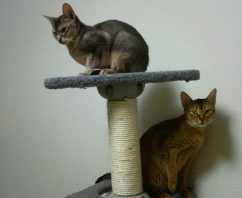 mie&blue