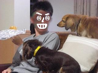 だれだぁ!!