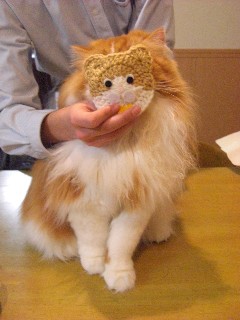 コースターもいただきました～～。
