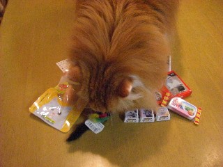 お決まりの桃ちゃんチェック！！