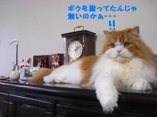 なーんだ。。