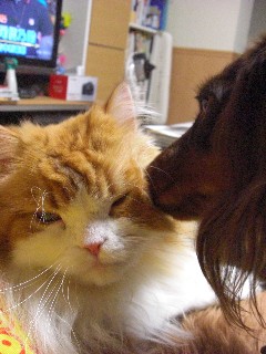 おいしそうでちねぇ。。。