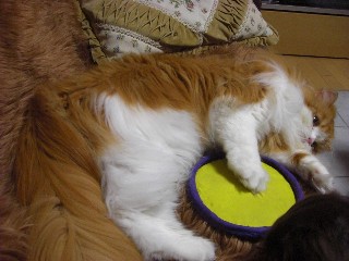 じゃあ貸して！！