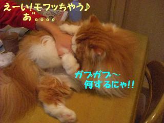 ちょっとどいてもらおうか・・ｂｙ二男