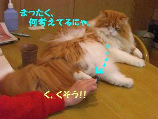 ふんふん。