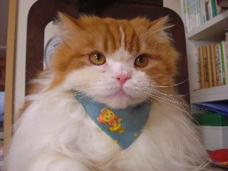 どお？
