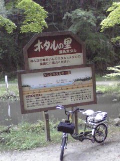 台原森林公園　ホタルの里