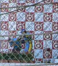 シャンパンファイト