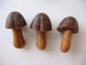 きのこの山　クラッシックショコラ