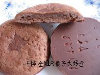 ロッテ　ガーナソフトクッキー