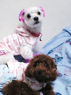 可愛いですか？