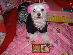 はやく食べたいな～