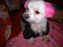 なにかあるの？