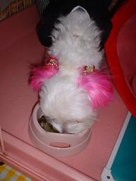 うまい！！うまい！！