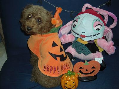 ハロウィン　めい