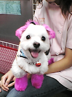 抱っこされてます！