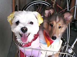 横向きなかよし