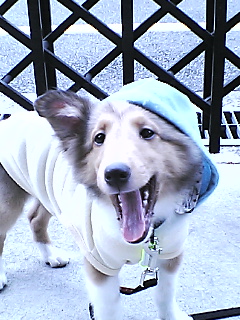 帽子にあいますか？