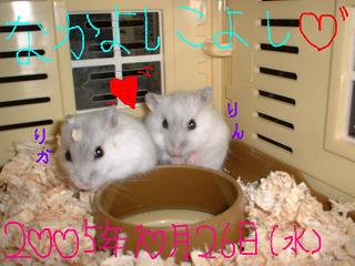 なかよち～