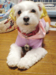 かわいくポーズ