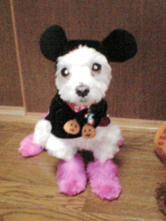 りぼんミッキー