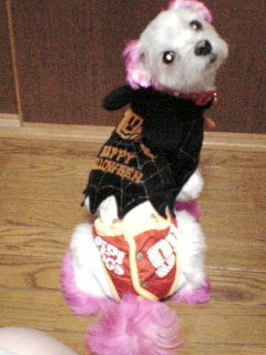 りぼんハローウィン