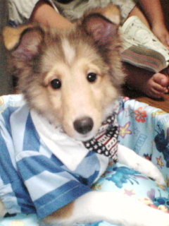 こうちゃんです