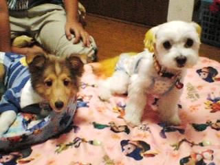 仲良しになったよ