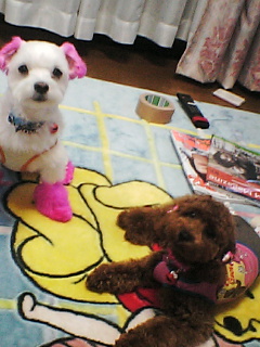 くつろぎたいむ