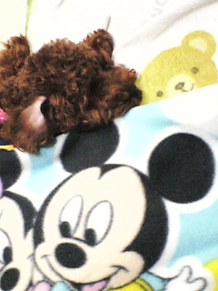 赤ちゃんみたい