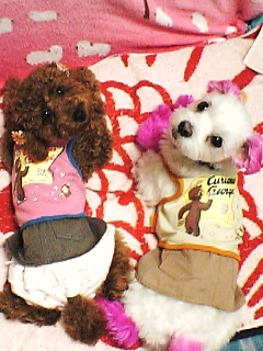 ２ひきなかよし