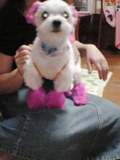 りぼんママのひざ～