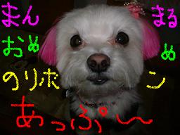 あっぷ